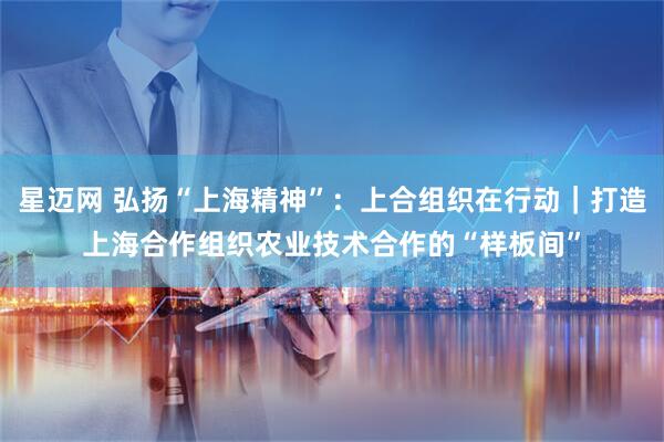 星迈网 弘扬“上海精神”：上合组织在行动｜打造上海合作组织农业技术合作的“样板间”
