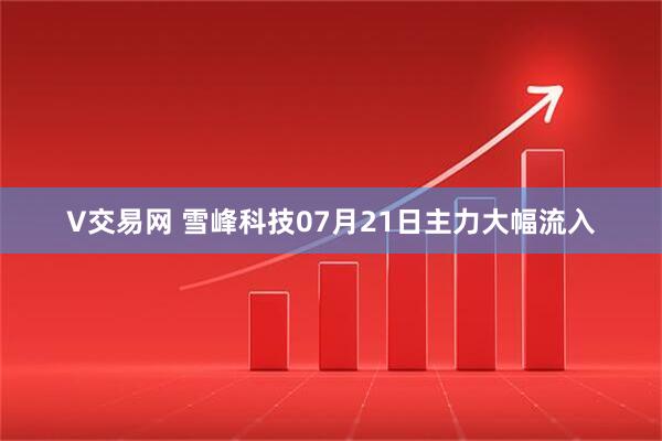 V交易网 雪峰科技07月21日主力大幅流入
