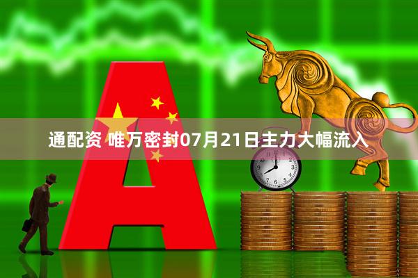通配资 唯万密封07月21日主力大幅流入
