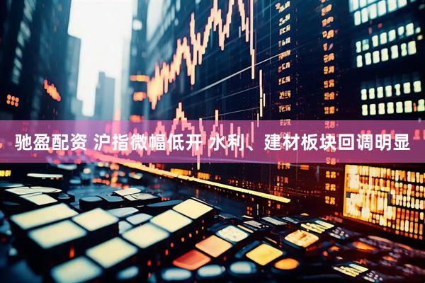 驰盈配资 沪指微幅低开 水利、建材板块回调明显