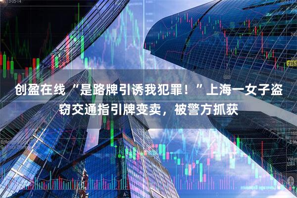 创盈在线 “是路牌引诱我犯罪！”上海一女子盗窃交通指引牌变卖，被警方抓获