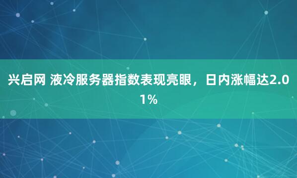 兴启网 液冷服务器指数表现亮眼，日内涨幅达2.01%