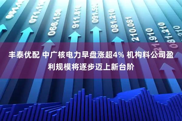 丰泰优配 中广核电力早盘涨超4% 机构料公司盈利规模将逐步迈上新台阶