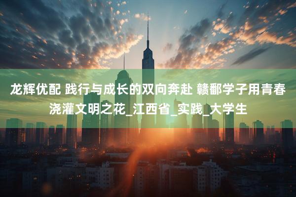 龙辉优配 践行与成长的双向奔赴 赣鄱学子用青春浇灌文明之花_江西省_实践_大学生