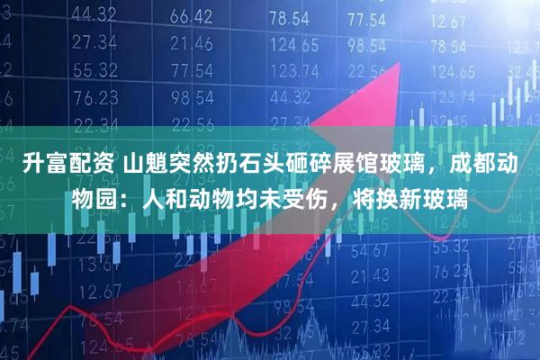 升富配资 山魈突然扔石头砸碎展馆玻璃，成都动物园：人和动物均未受伤，将换新玻璃